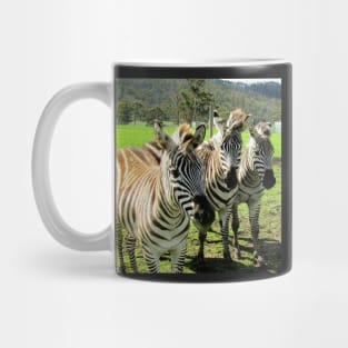 Friendly Zebras Mug